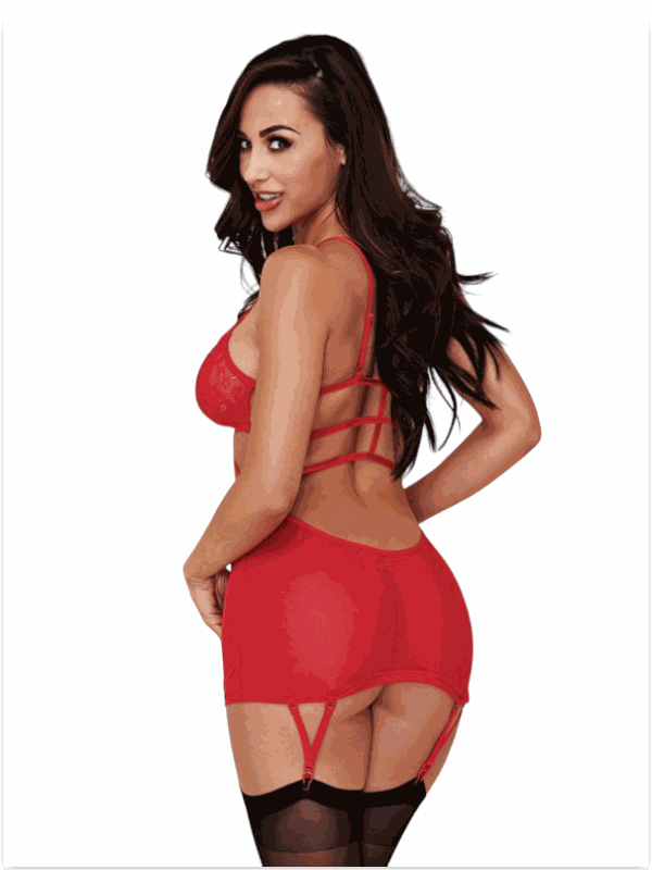 Tegan Büyük Beden Fantazi Kırmızı Dantelli Jartiyer Takım TG273256