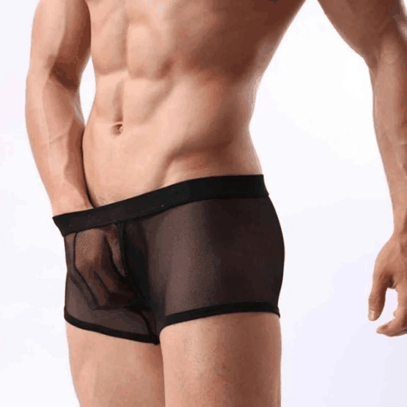 Tegan Fantezi Transparan Tül Erkek Boxer Fantezi Tanga TG274603